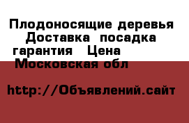 Плодоносящие деревья. Доставка, посадка, гарантия › Цена ­ 3 000 - Московская обл.  »    